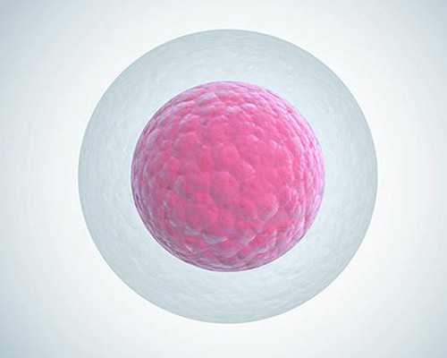 温州试管供卵自怀 在温州附二医院做试管婴儿培养囊胚一个多少钱？ ‘孕九周