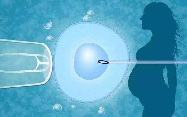 卵巢黄体是什么