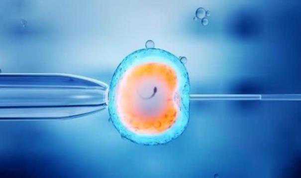 妊娠合并巨幼红细胞性贫血的类型有哪几种